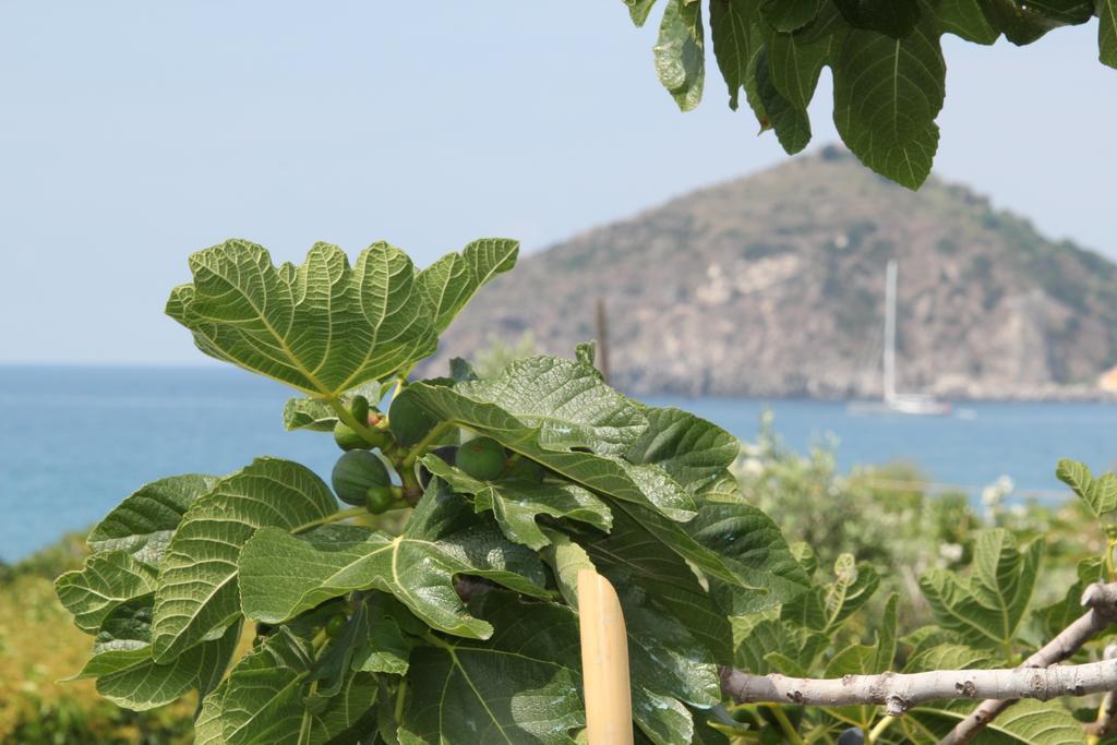 Hotel Maronti Barano d'Ischia Exterior photo